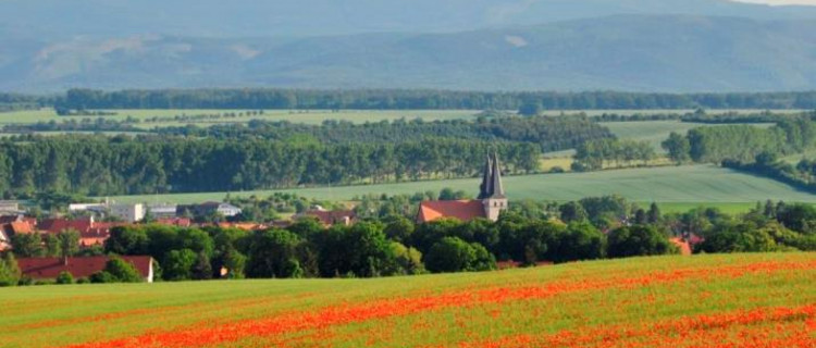 Landschaft im ländlichen Raum 