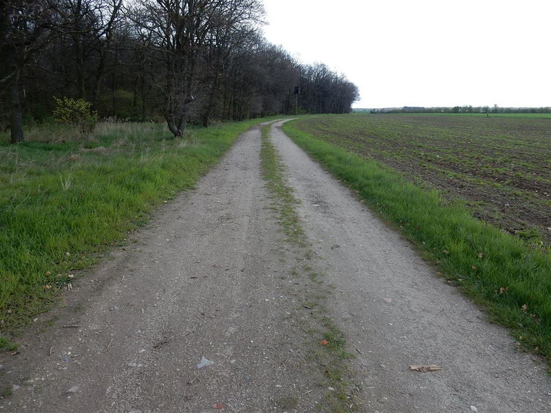 Ländlicher Weg im Verfahrensgebiet