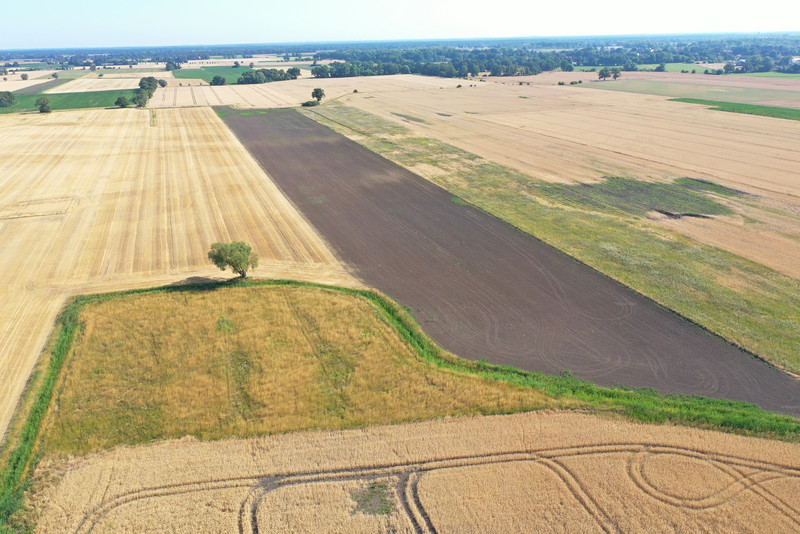 Agrarflächen in der Altmark