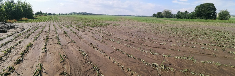 Schäden durch Erosion auf dem Feld