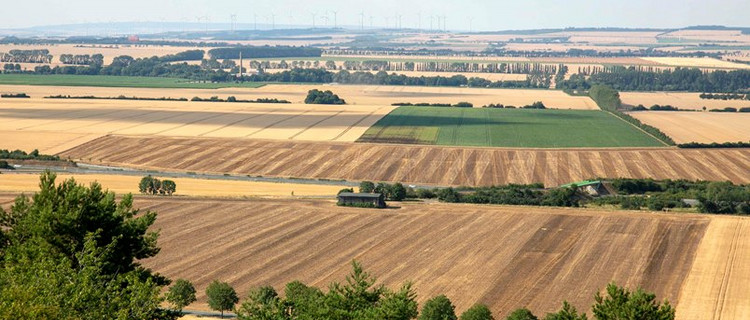 Landwirtschaft Vorharz
