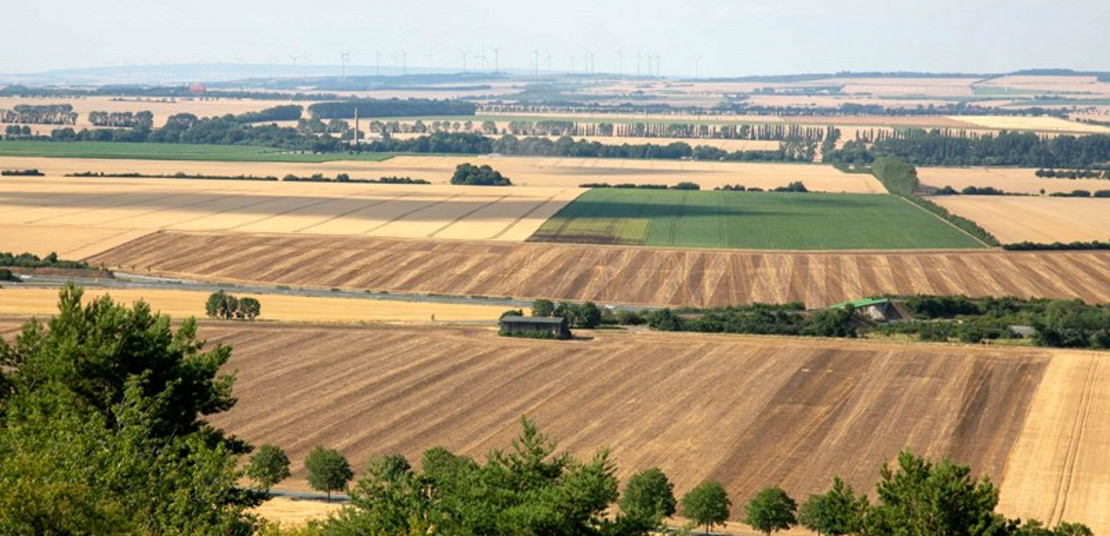 Landwirtschaft Vorharz