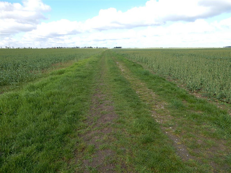 Ländlicher Weg im Verfahrensgebiet