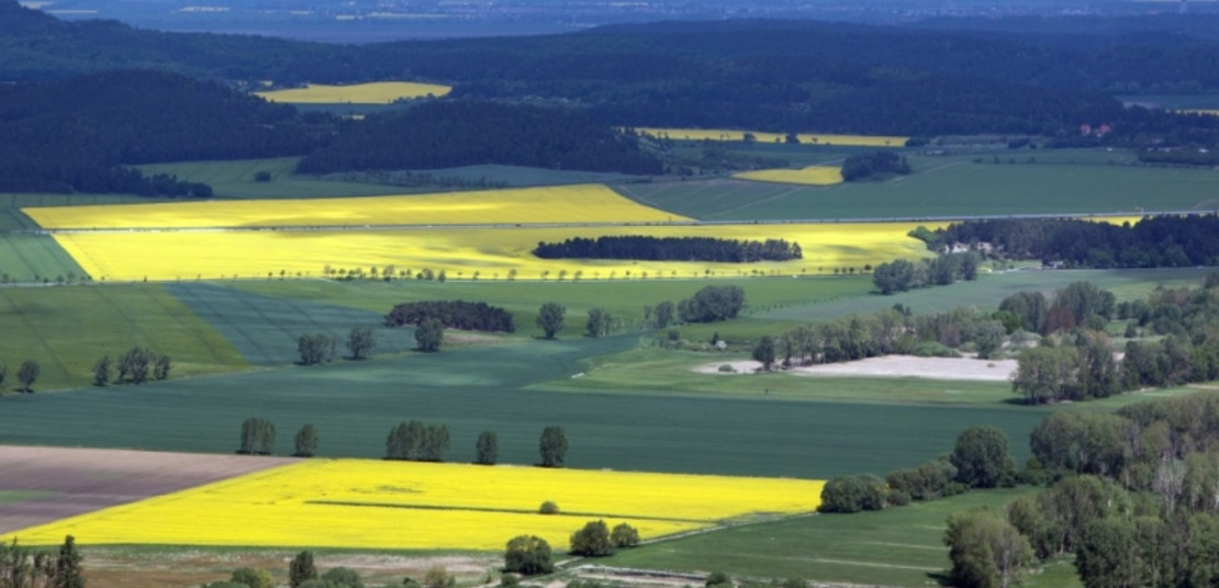 Landschaft einer Agrarstruktur 