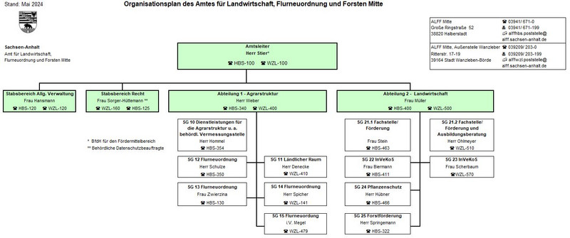 Organisationsplan ALFF MITTE