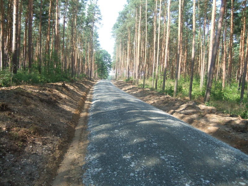 befestigter Schotterweg durch den Wald