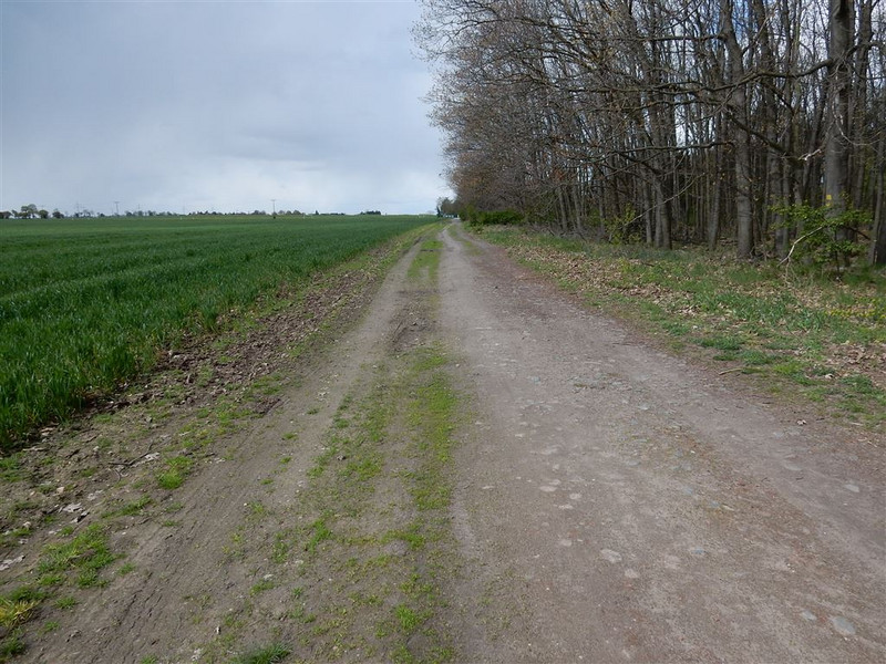 Ländlicher Weg im Verfahrensgebiet