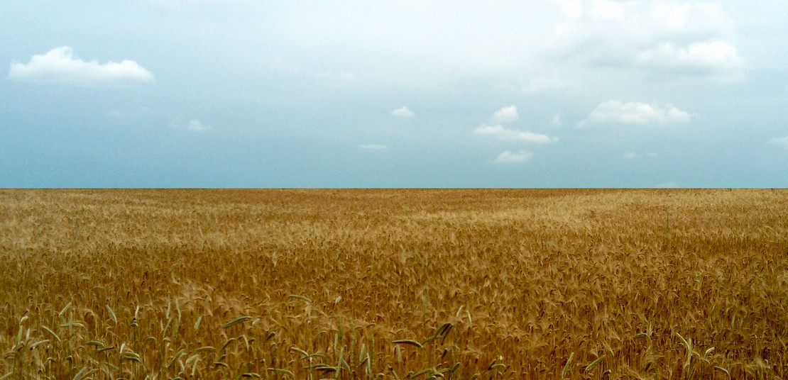 Das Bild zeigt eine blau-gelbe Landschaft